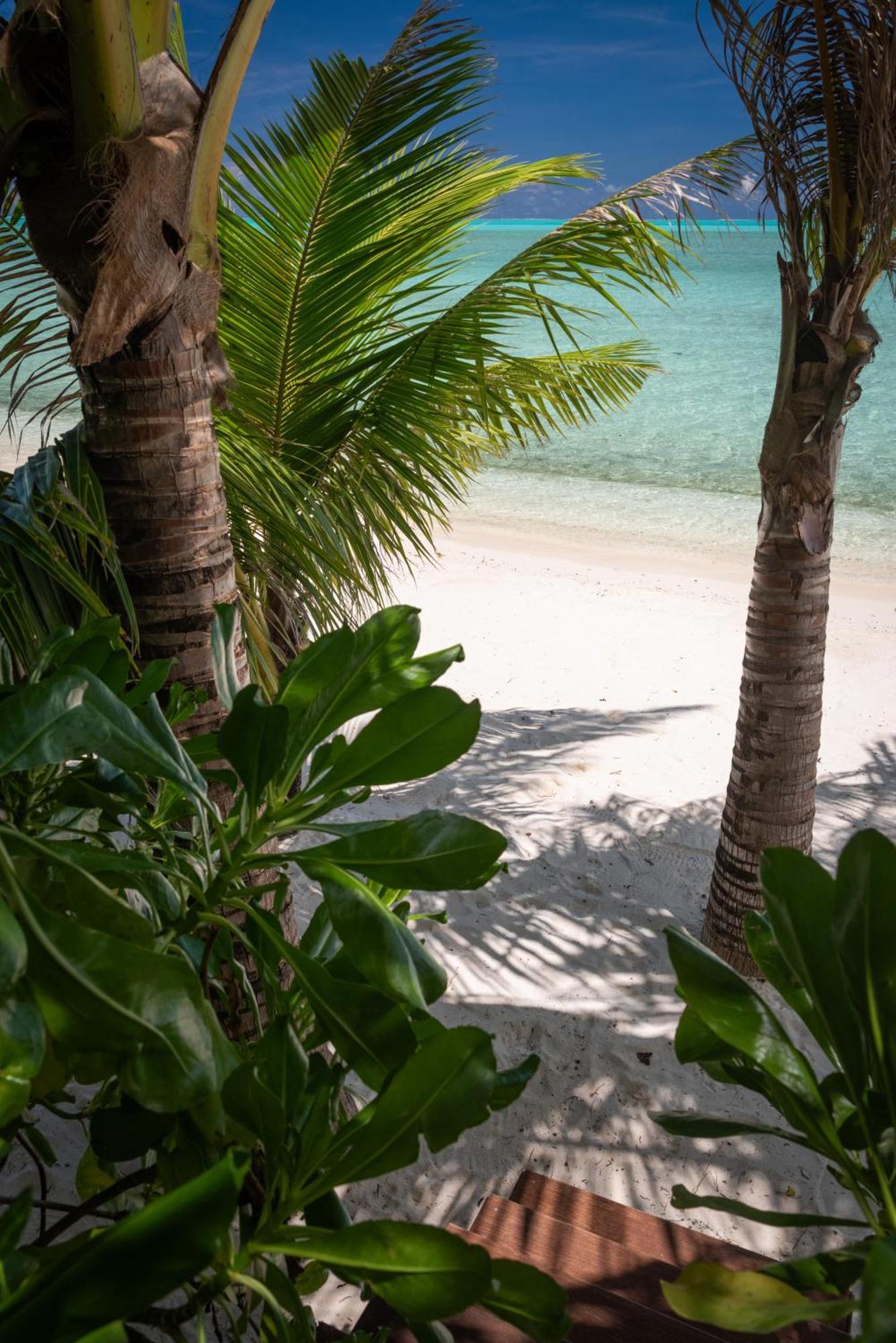Baby Plage Bora Bora Extérieur photo
